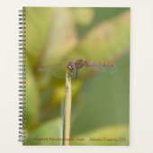 Spiralgebonden planner met libelfoto (Voorkant)