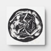 Spiraling Descent Fotoplaat (Voorkant)