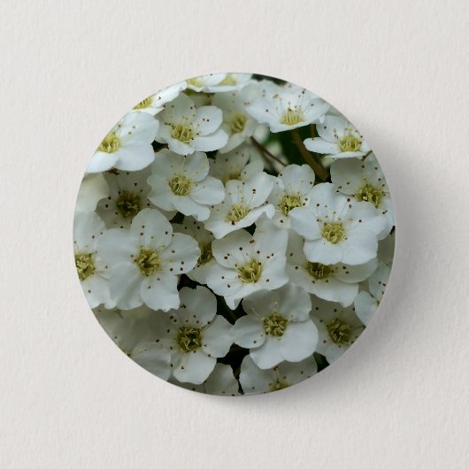 Spirea Arguta Badge Ronde Button 5,7 Cm (Voorkant)