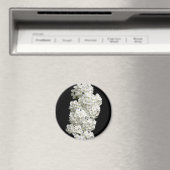 Spirea Arguta Magnet (Insitu (Vaatwasser))