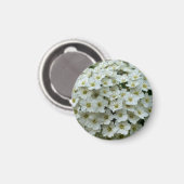 Spirea Arguta Magnet (Voorkant / Achterkant)