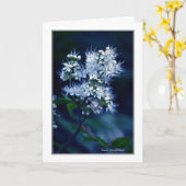 Spirea Kaart (Gele Bloem)