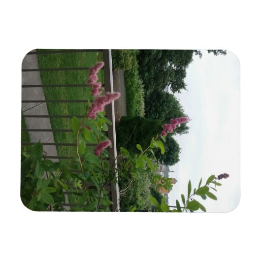 Spirea Magneet (Horizontaal)