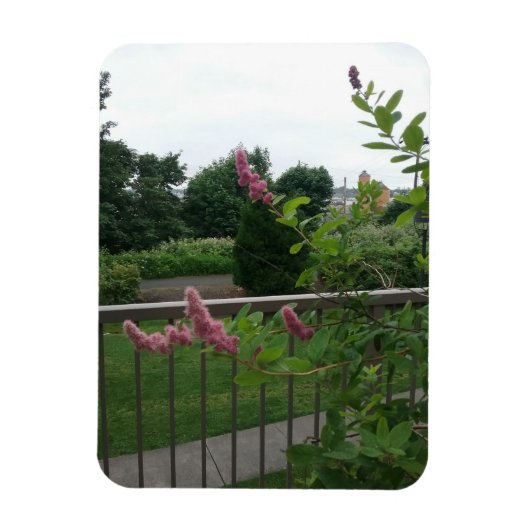 Spirea Magneet (Verticaal)