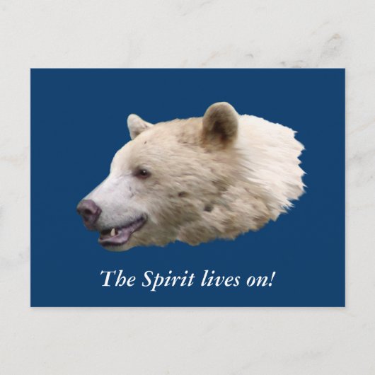 "Spirit Bear" Cadeaus Briefkaart (Voorkant)