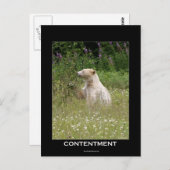 Spirit Beer Gifts Briefkaart (Voorkant / Achterkant)