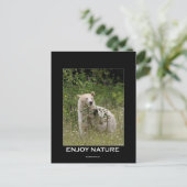 Spirit Beer Gifts Briefkaart (Staand voorkant)