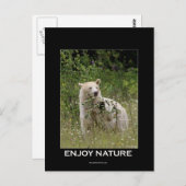 Spirit Beer Gifts Briefkaart (Voorkant / Achterkant)