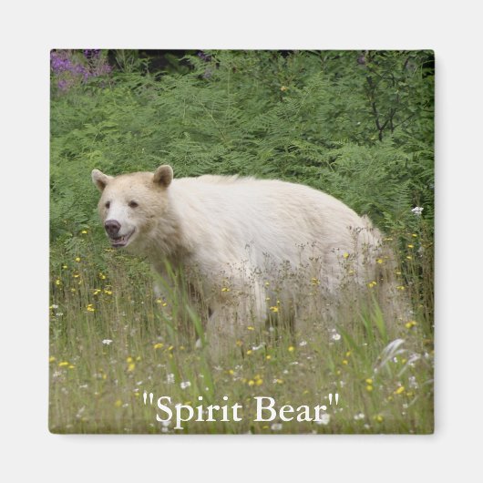 Spirit Beer Gifts Magneet (Voorkant)