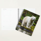 Spirit Beer Kalender Planner (Display)