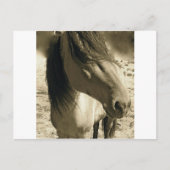 Spirit Briefkaart (Voorkant)