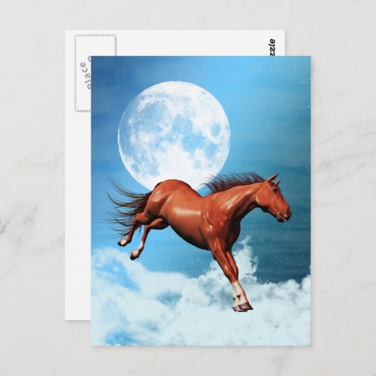 Spirit Briefkaart (Voorkant / Achterkant)