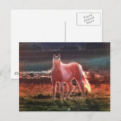 Spirit Dream Horse Briefkaart (Voorkant / Achterkant)