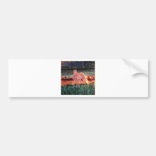 Spirit Dream Horse, gebilderd Bumpersticker