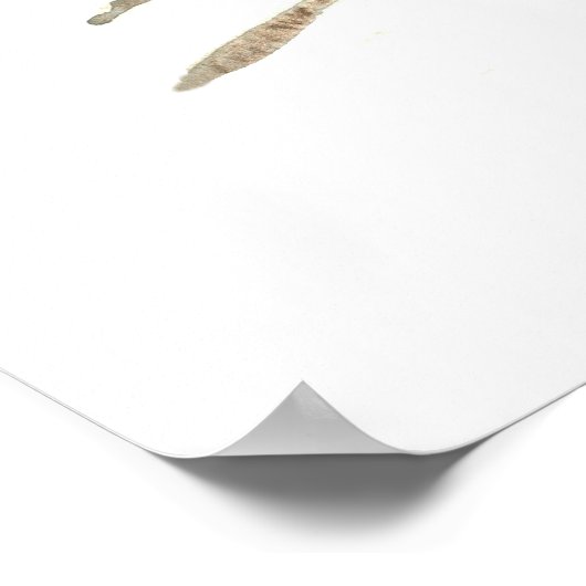 Spirit, Enso Poster (Hoek)