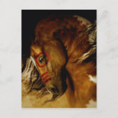 Spirit Horse Briefkaart (Voorkant)