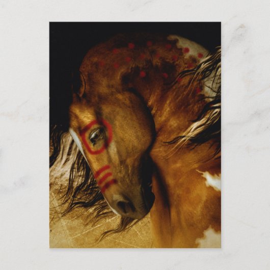 Spirit Horse Briefkaart (Voorkant)