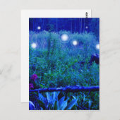 Spirit Lights Blue Night Marshy Meadow Orbs Briefkaart (Voorkant / Achterkant)