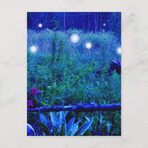 Spirit Lights Blue Night Marshy Meadow Orbs Briefkaart