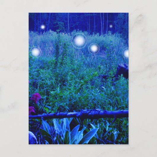 Spirit Lights Blue Night Marshy Meadow Orbs Briefkaart (Voorkant)
