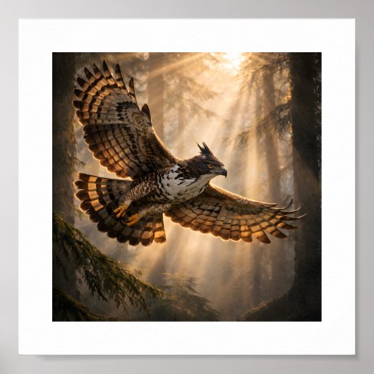 Spirit of the Deep Forest – Mountain Hawk-Eagle Poster (Voorkant)