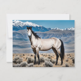 Spirit of the West Mustang Briefkaart
