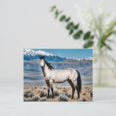 Spirit of the West Mustang Briefkaart (Staand voorkant)