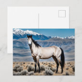 Spirit of the West Mustang Briefkaart (Voorkant / Achterkant)