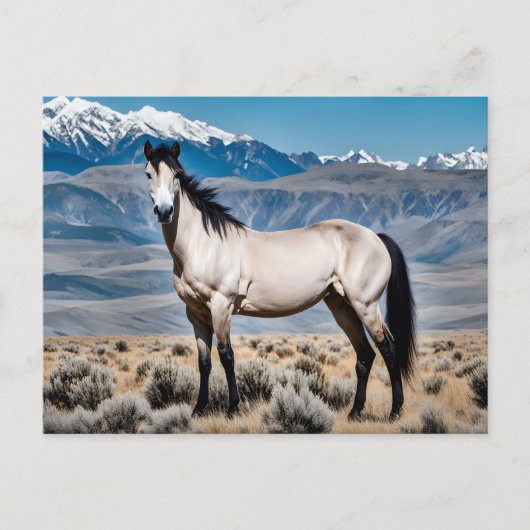 Spirit of the West Mustang Briefkaart (Voorkant)