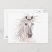 Spirit of the Wind Horse -- Briefkaart (Voorkant / Achterkant)