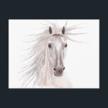 Spirit of the Wind Horse -- Briefkaart<br><div class="desc">Mooie handgetekende paard met een  stijl.</div>