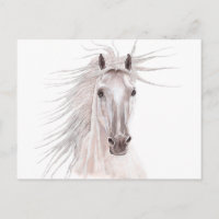 Spirit of the Wind Horse --