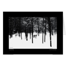 Spirit Pony in de Mist Kaart