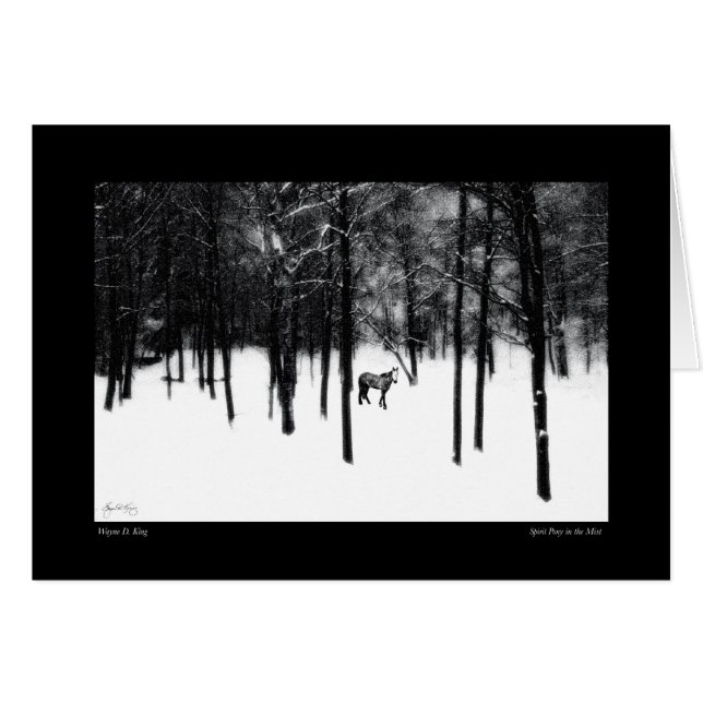 Spirit Pony in de Mist Kaart (Voorkant Horizontaal)