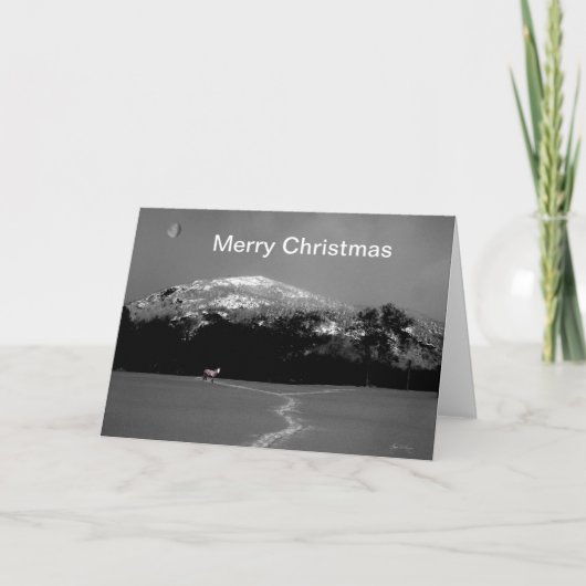 Spirit Pony onder Gibbous Moon Kerst Kaart (Voorkant)