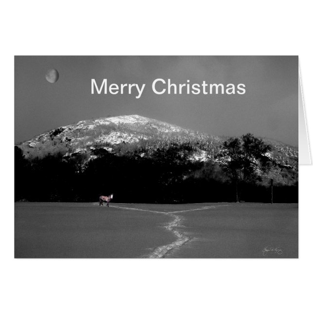 Spirit Pony onder Gibbous Moon Kerst Kaart (Voorkant Horizontaal)