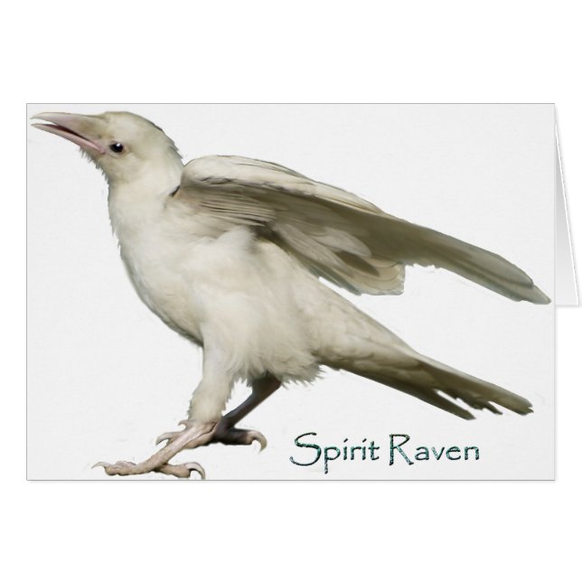 Spirit Raven II reeks (Voorkant Horizontaal)