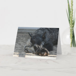 "Spirit" Standaard Schnauzer Foto Wenskaart Kaart