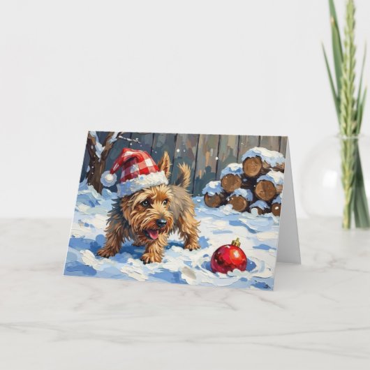Spirited Cairn Terrier Dog Digging for Christmas T Kaart (Voorkant)