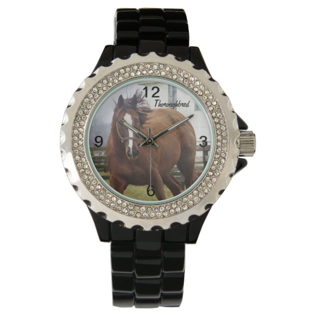 Spirited Volbloed Paard Horse Watch Horloge (Voorkant)