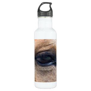 Spirit's oog waterfles 