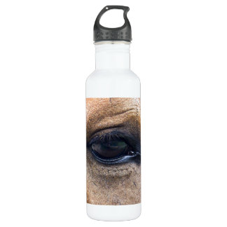 Spirit's oog waterfles