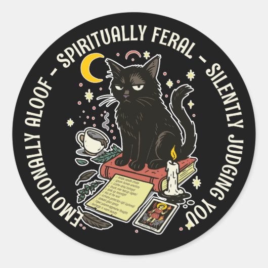 Spiritually Feral Cat: Emotinally Aloof, Judging Ronde Sticker (Voorkant)