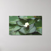 Spiritueel budgetteren canvas afdruk (Voorkant)