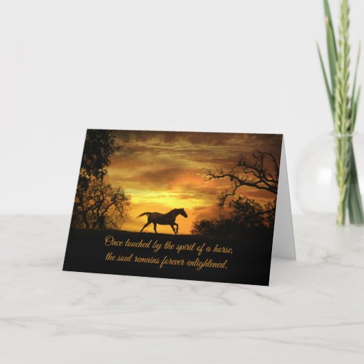 Spirituele paardensympathikaart met paarden en zon kaart (Voorkant)
