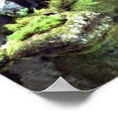 Spirituele Pond Poster (Hoek)