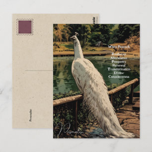 Spirituele Witte Pauw Vogel Inspirerend Quote Briefkaart