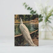 Spirituele Witte Pauw Vogel Inspirerend Quote Briefkaart (Staand voorkant)