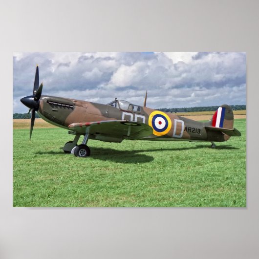 Spitfire AR213 Poster (Voorkant)