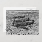 Spitfire Fighters Over Africa, 1943 Briefkaart (Voorkant / Achterkant)